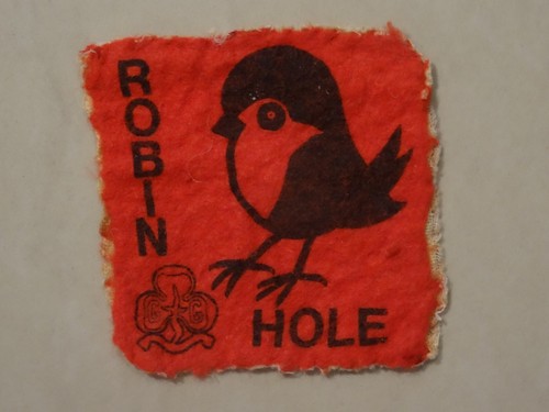 Robin hole camp - robin,